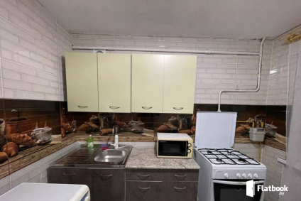 Уютные апартаменты на сутки в Докшицах!